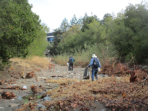 Creek cleanup