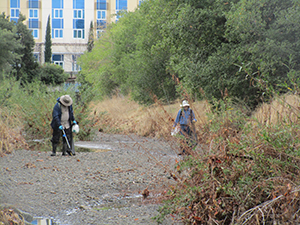 Creek cleanup