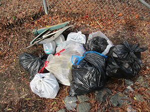 Creek cleanup